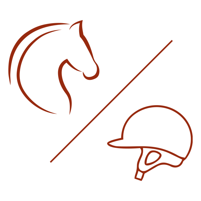 duo cavalier équidé
